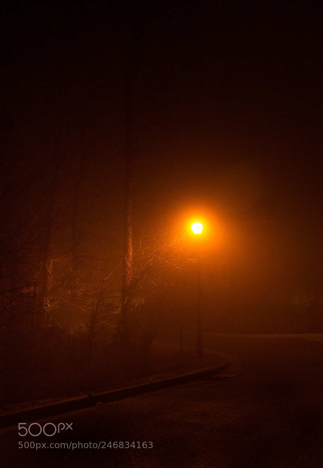 Canon EOS 1100D (EOS Rebel T3 / EOS Kiss X50) sample photo. Streetlight in the fog photography