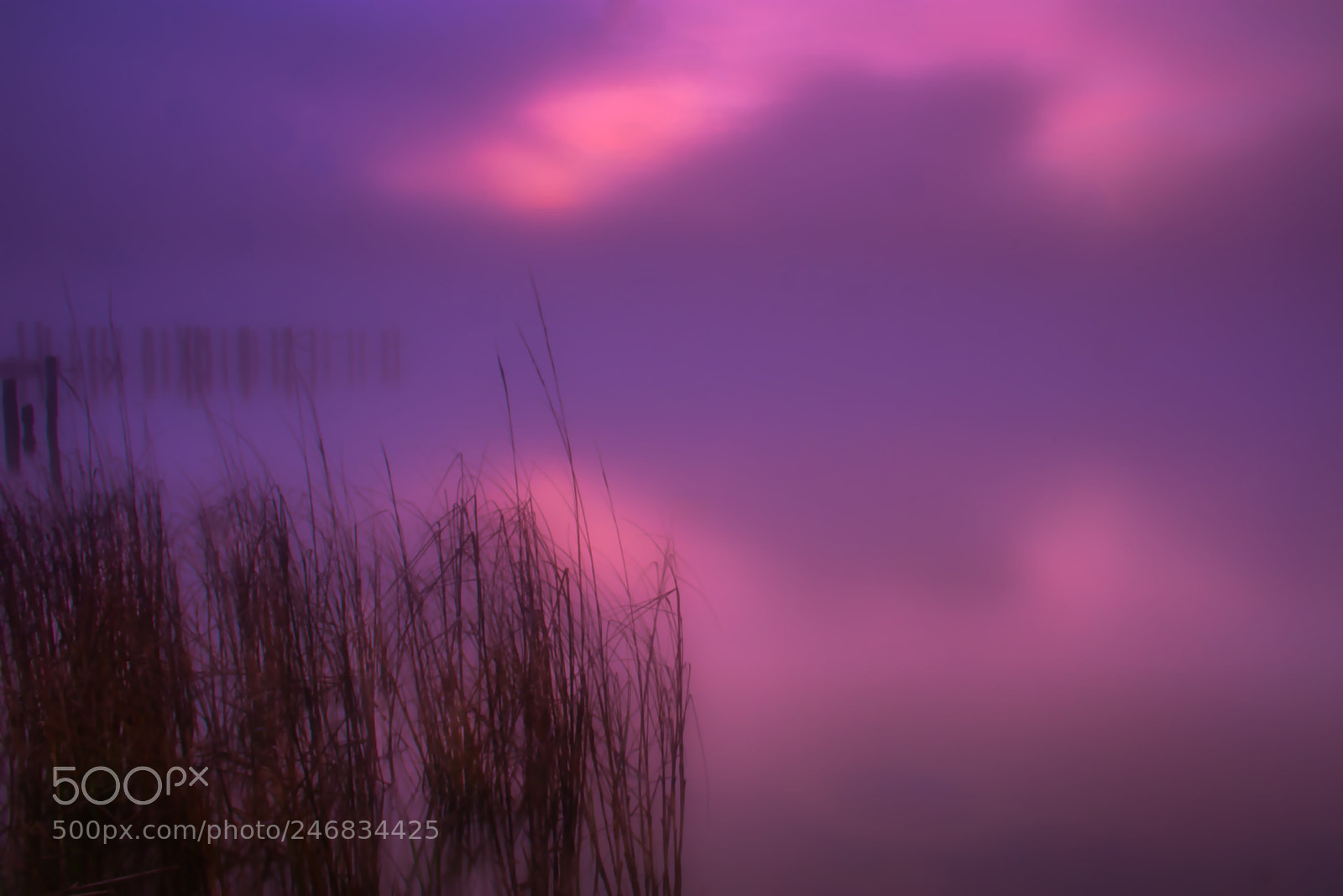 Nikon D7200 sample photo. Foggy evening on dauphin photography