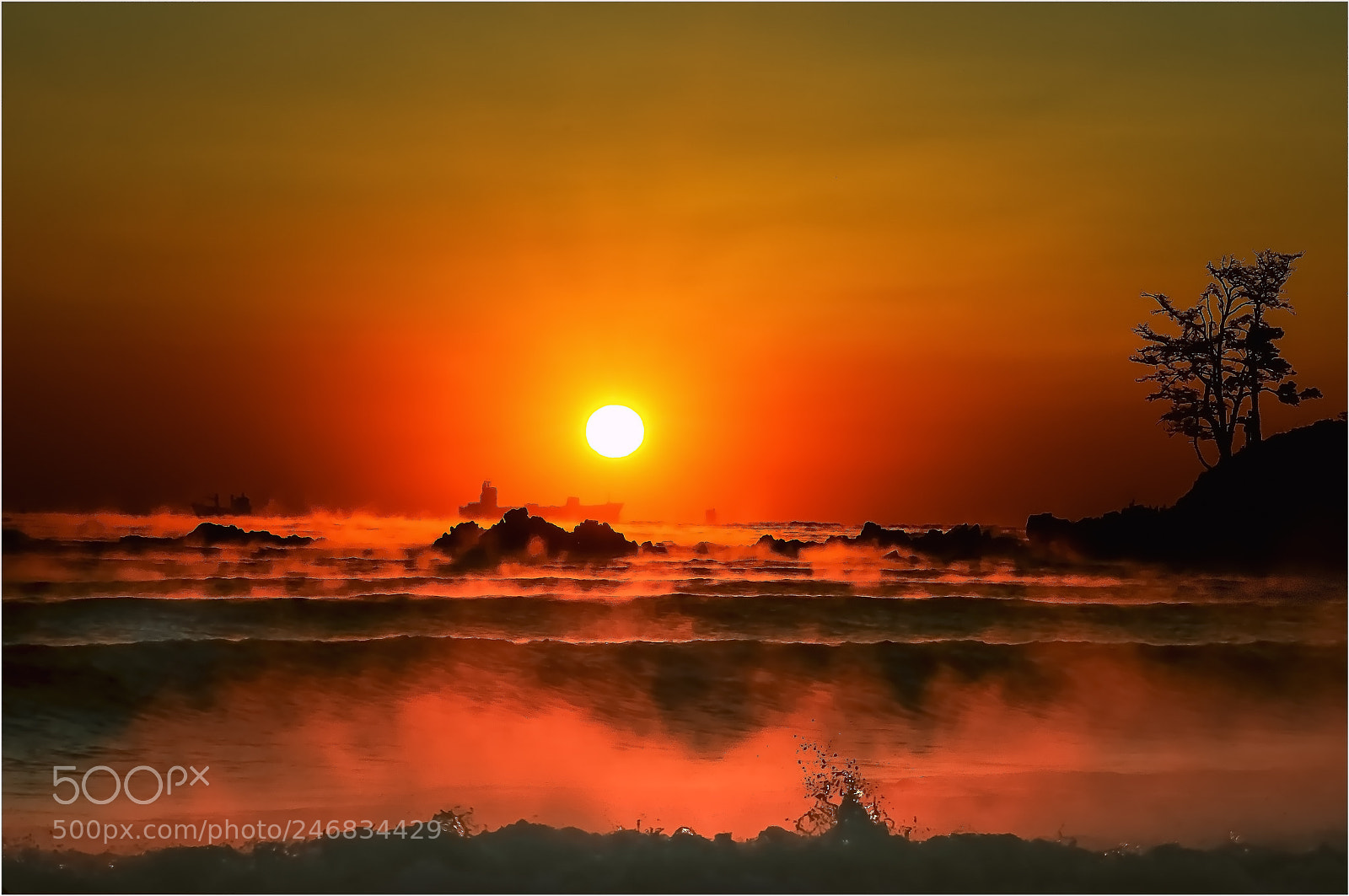 Nikon D300 sample photo. Winter sea at sunrise photography