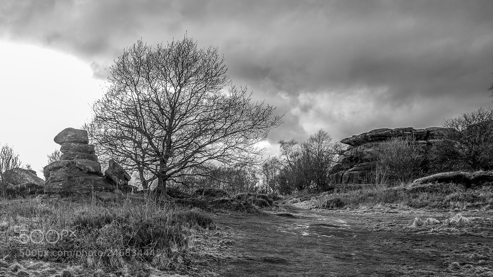 Sony a7R II sample photo. Acme photography