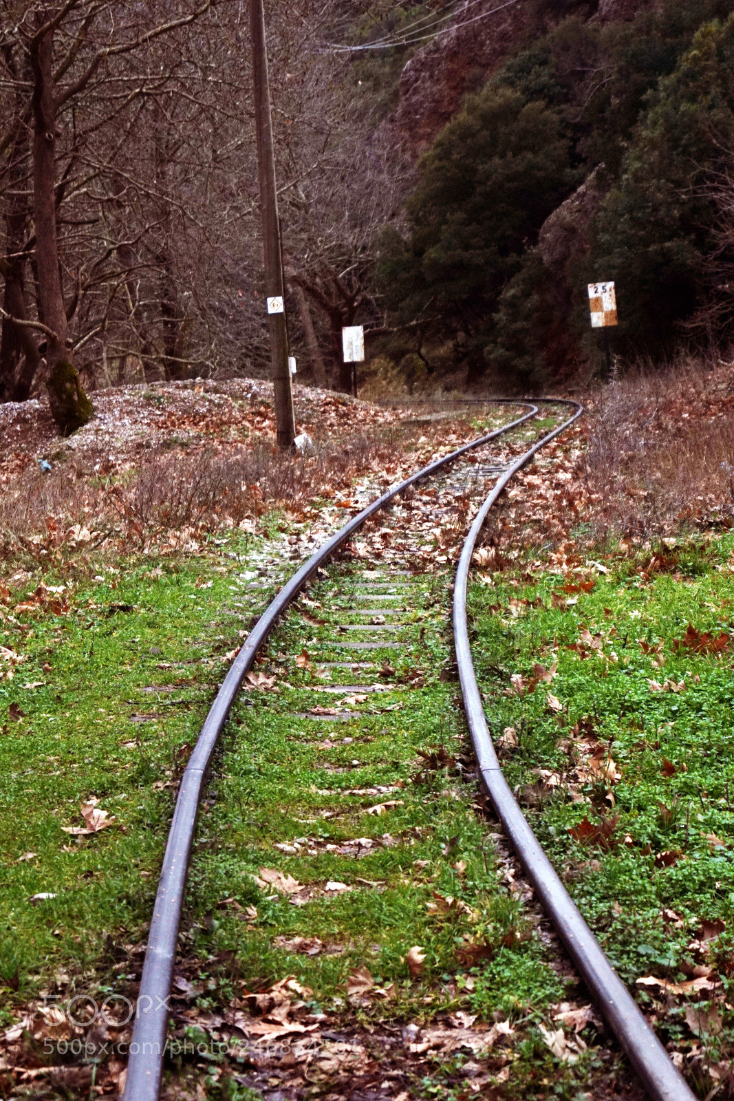 Sony SLT-A68 sample photo. ~walk the line~ photography