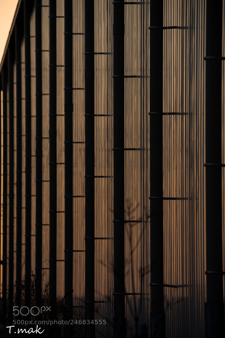 Nikon D850 sample photo. D photography