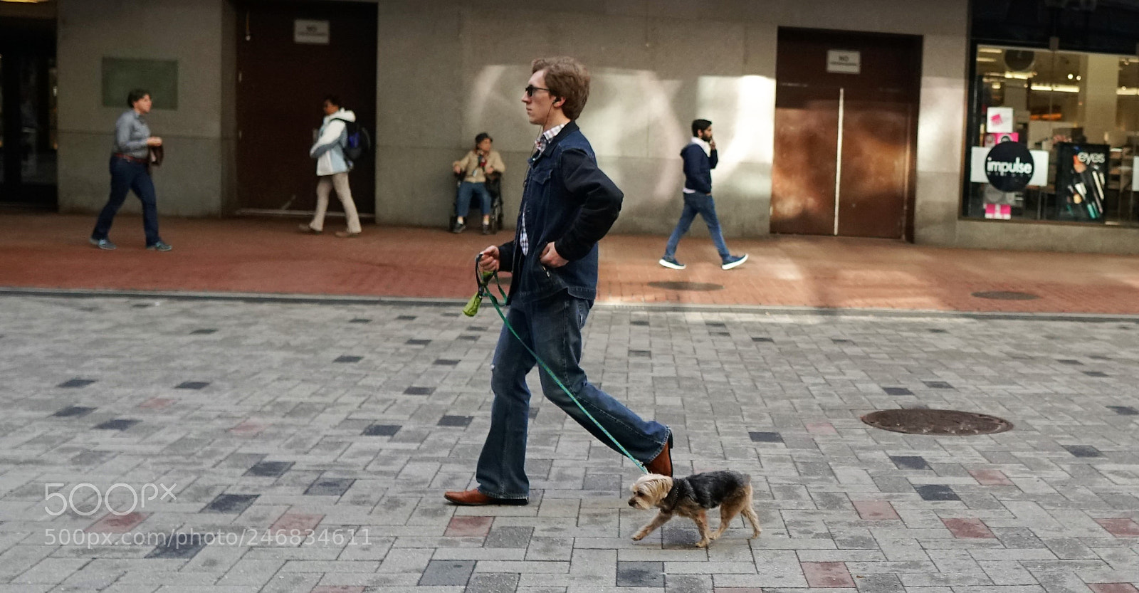 Sony a6500 sample photo. Walking a dog on photography