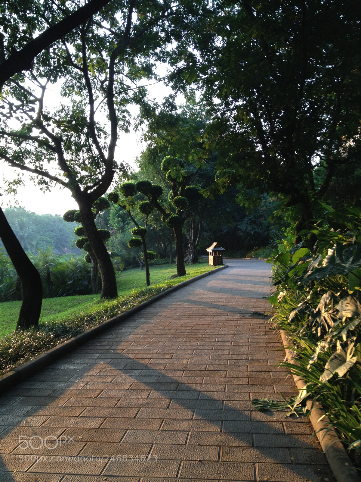 Apple iPhone 4S sample photo. 风景 晴天 photography
