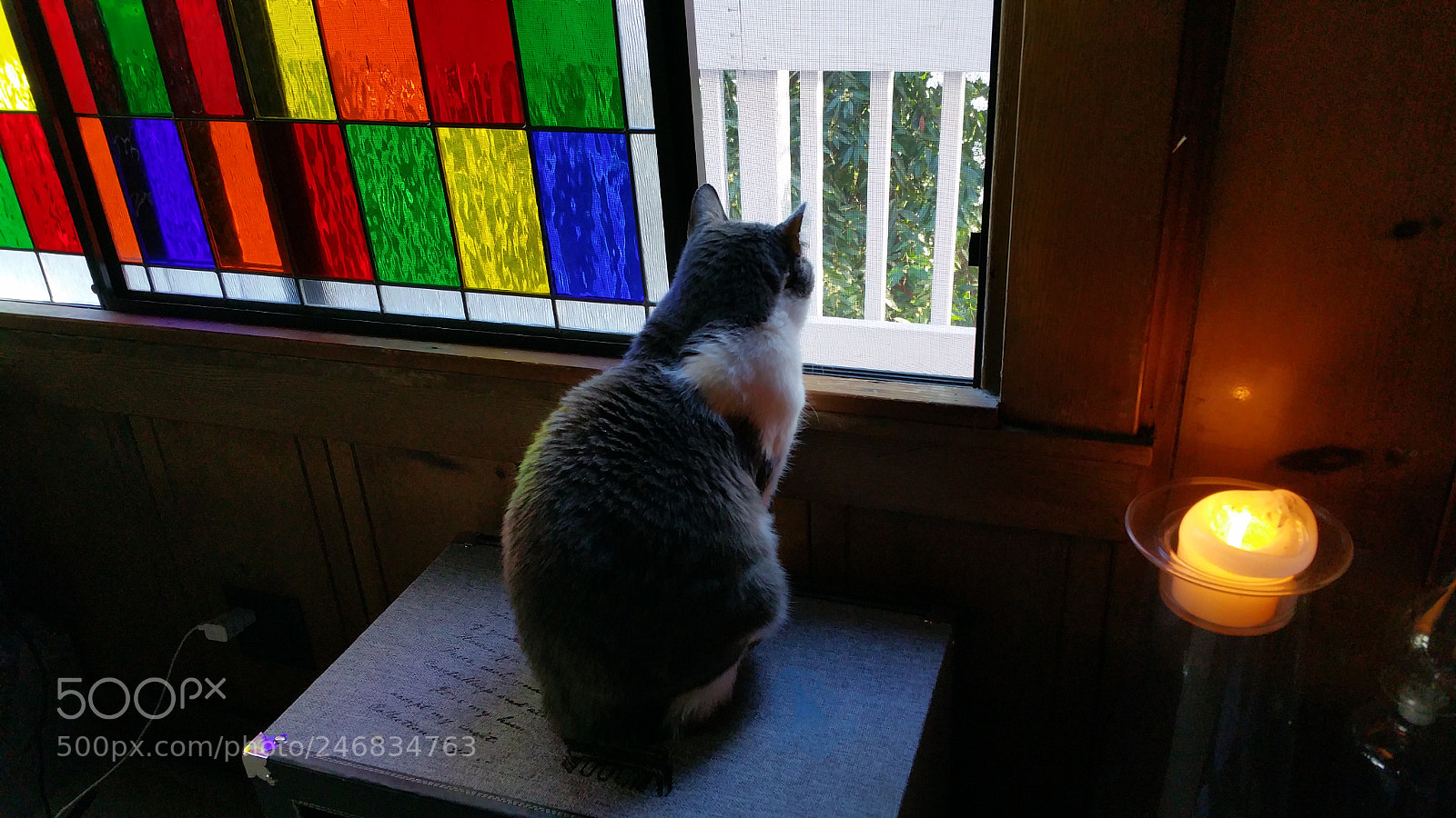 Samsung Galaxy Note4 sample photo. Untitled photography