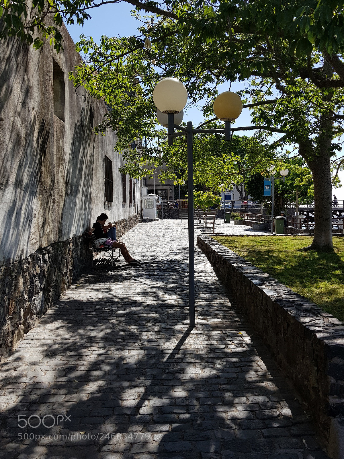 Samsung Galaxy S8+ sample photo. Calle en colonia photography