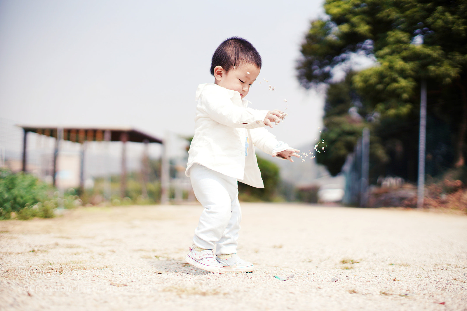 Sony a7R III sample photo. Untitled photography