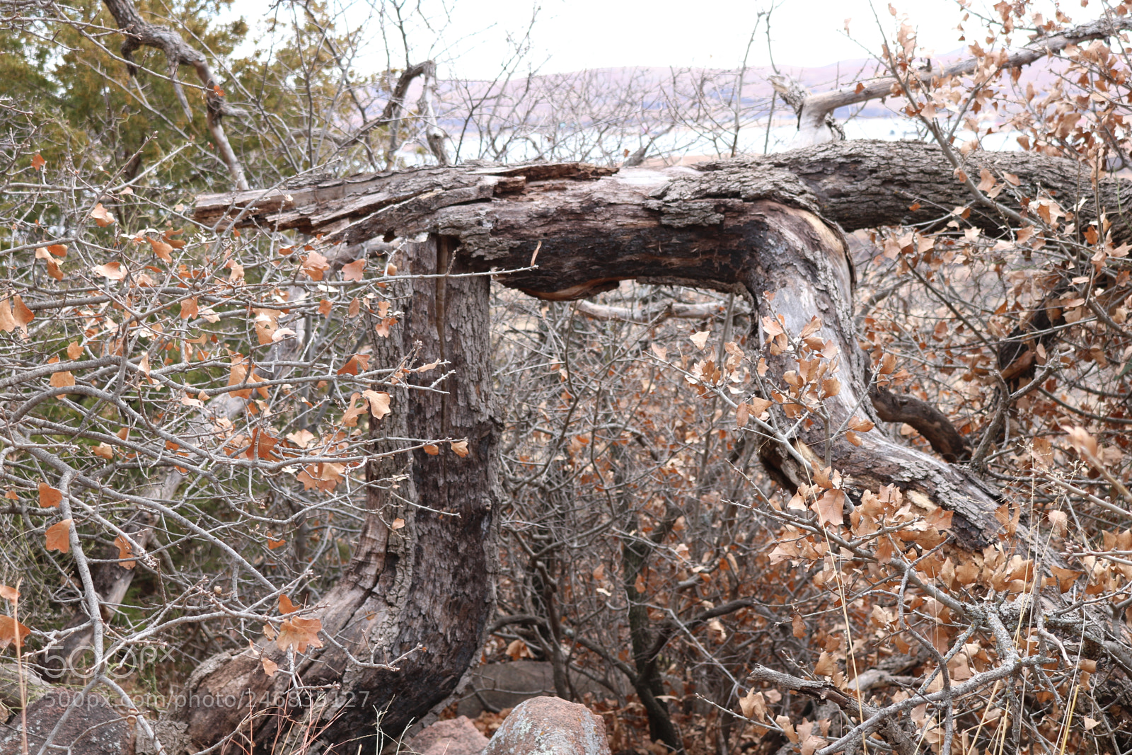Canon EOS 750D (EOS Rebel T6i / EOS Kiss X8i) sample photo. Doorway photography