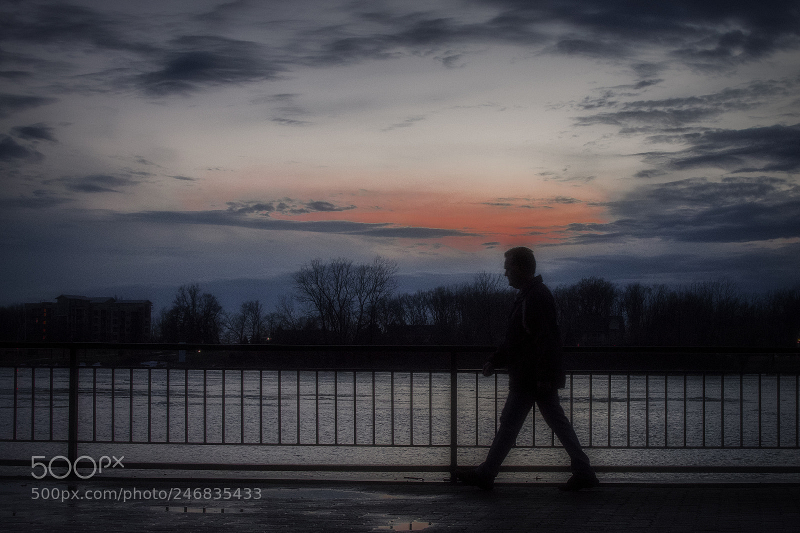 Nikon D500 sample photo. Walk. amherstburg, on. photography