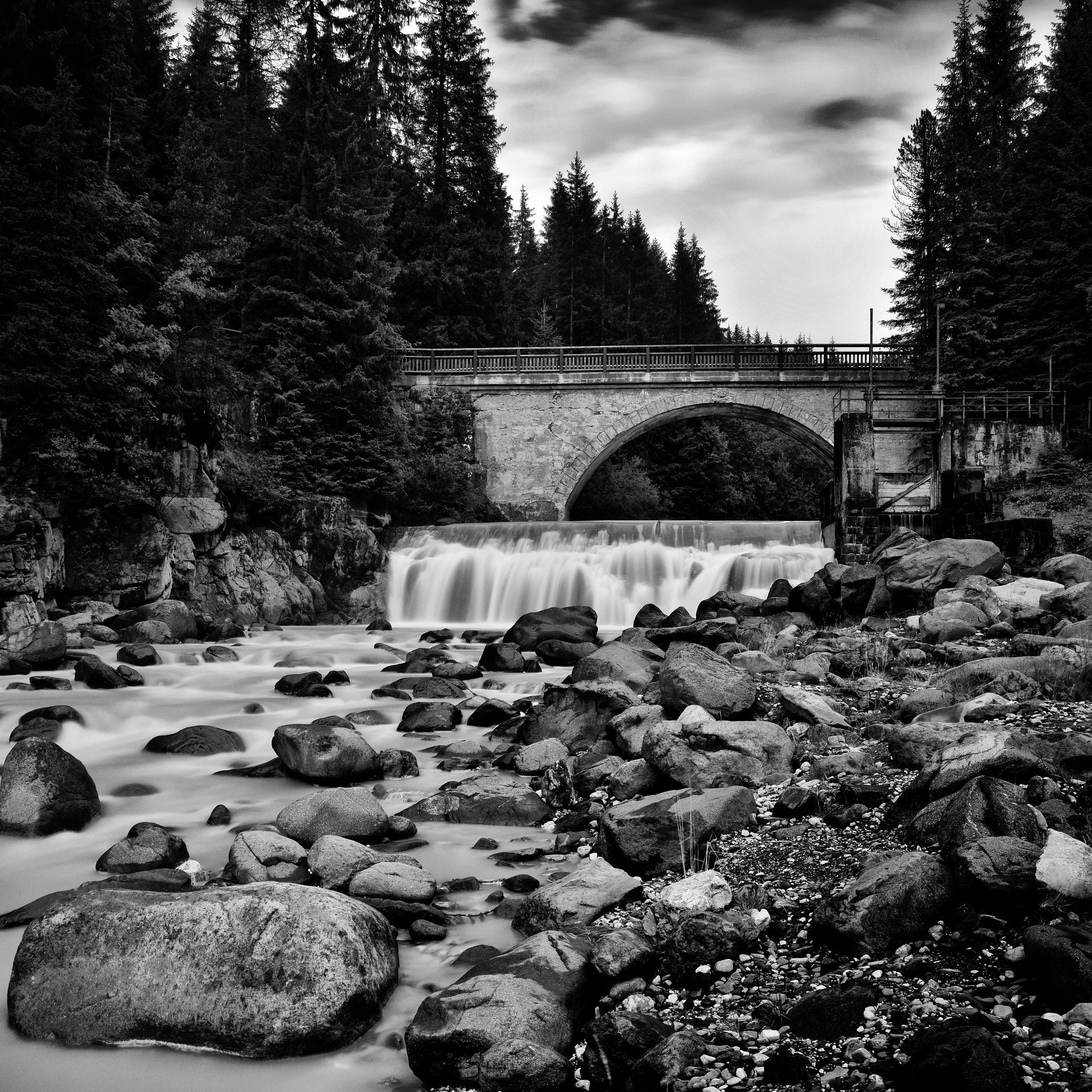 Nikon D800 sample photo. Paneveggio photography