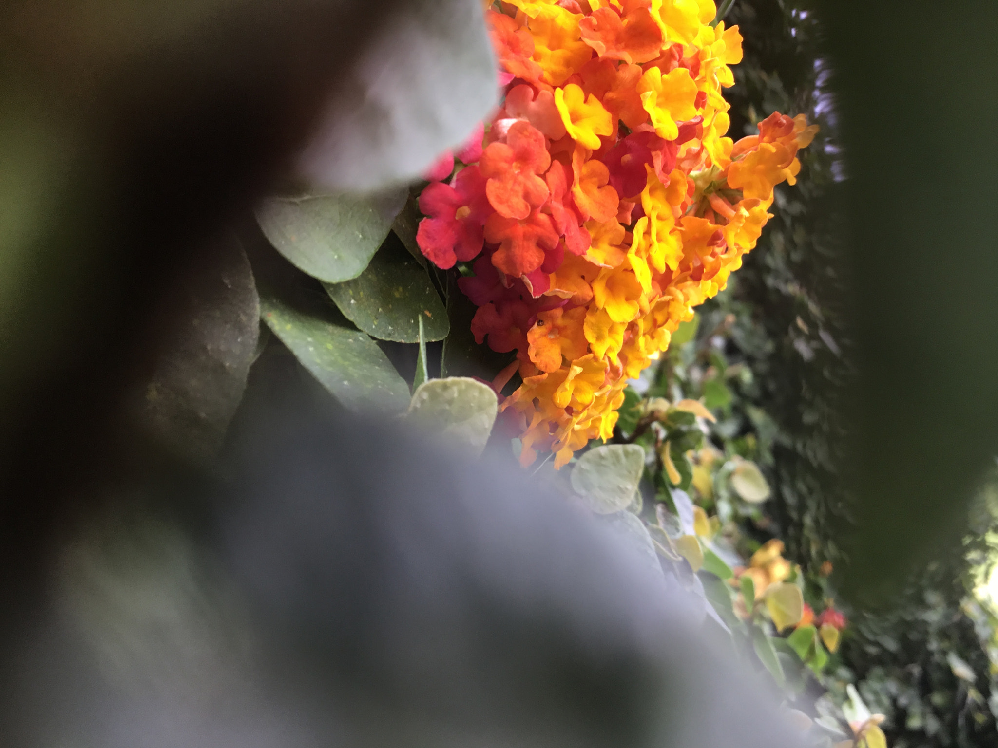 Apple iPad (5th generation) sample photo. Wow! photography