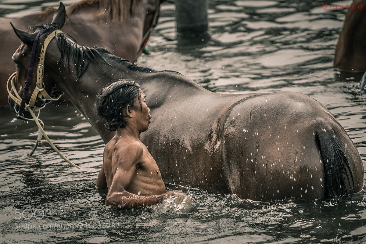 Sony a7R II sample photo. Horse spa photography