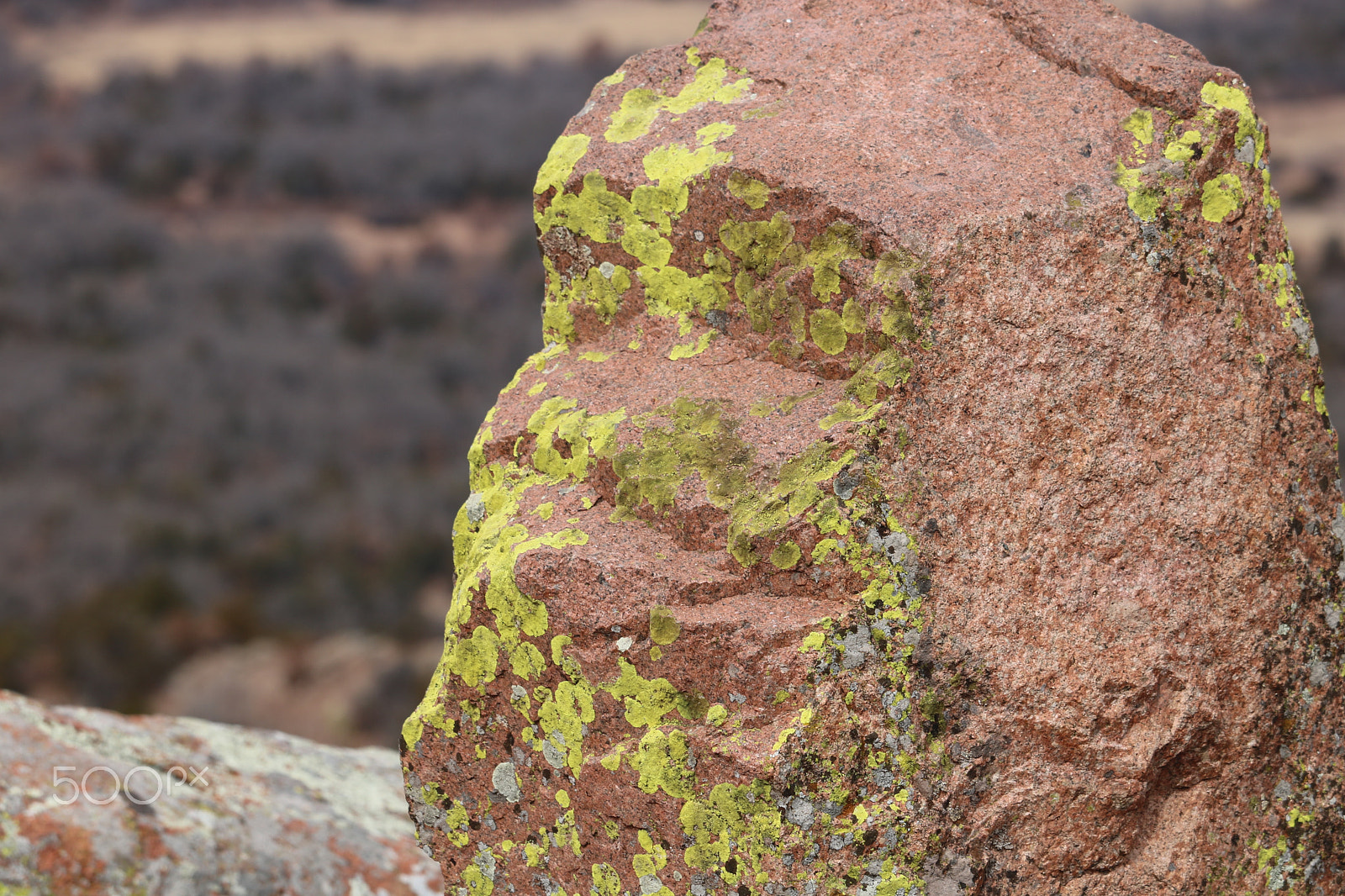 Canon EF-S 55-250mm F4-5.6 IS STM sample photo. Ape face photography