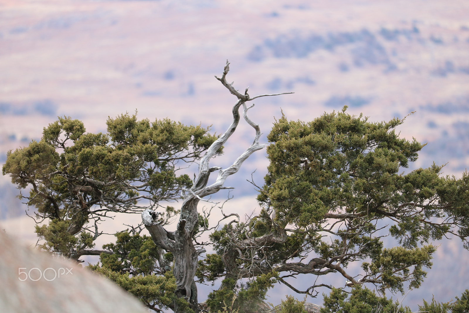 Canon EOS 750D (EOS Rebel T6i / EOS Kiss X8i) sample photo. Spiral clouds photography