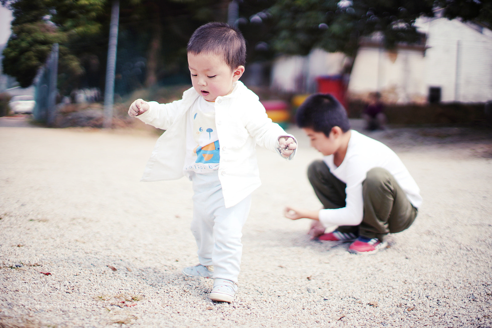 Sony a7R III sample photo. Untitled photography