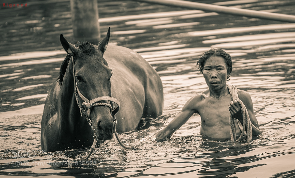 Sony a7R II sample photo. Together photography