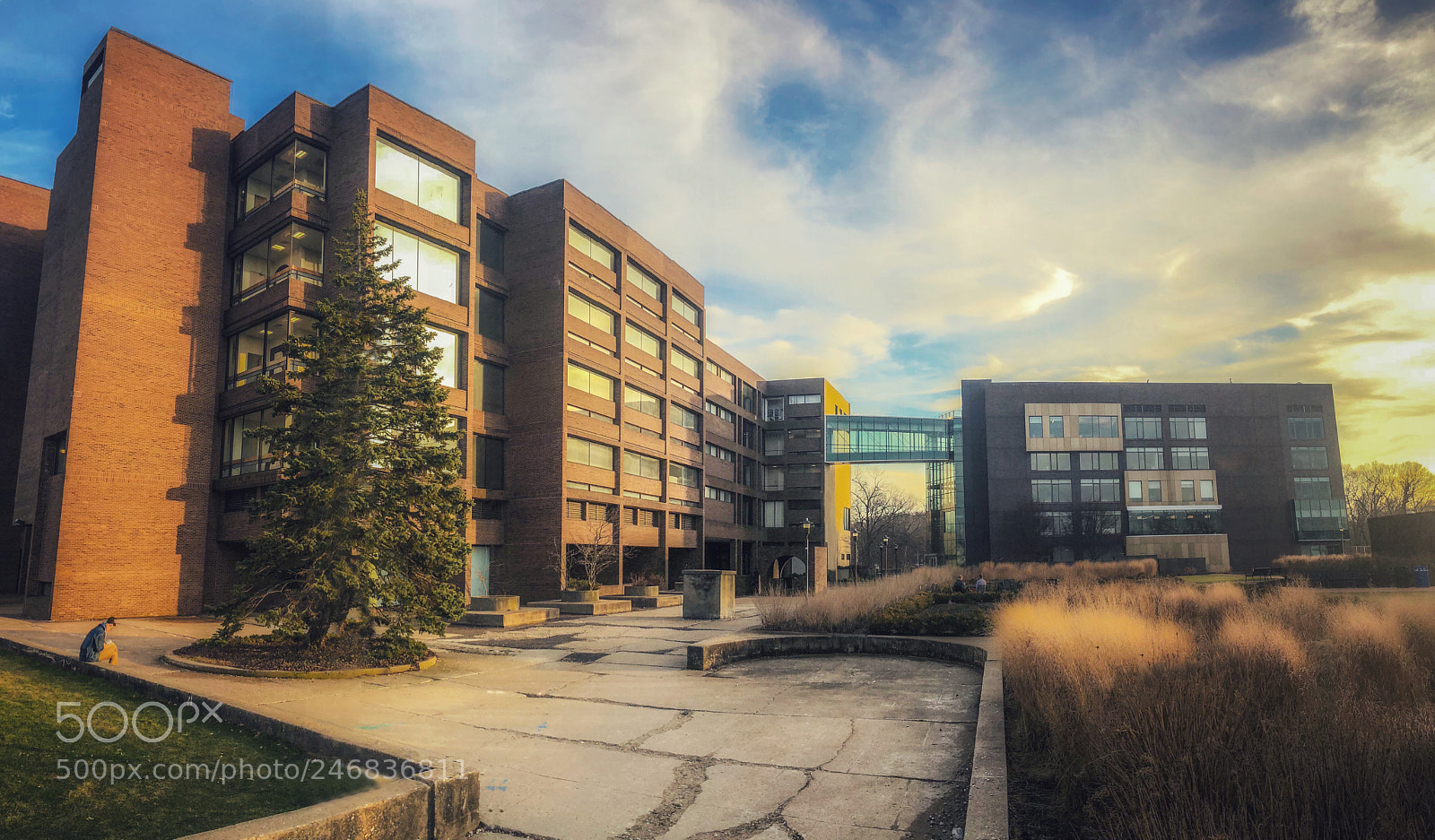 Apple iPhone X sample photo. Afternoon photography