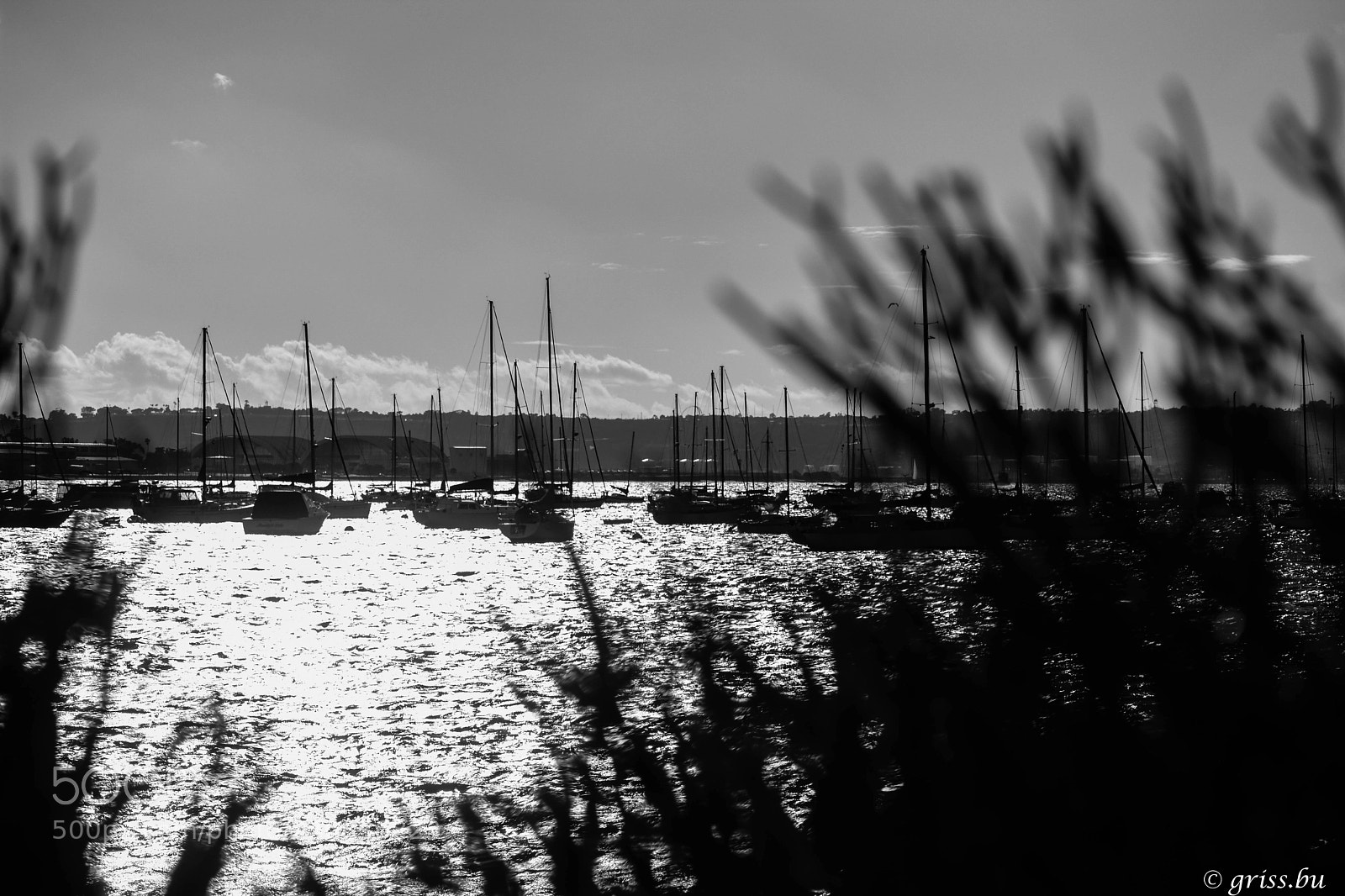 Nikon D3400 sample photo. "cerca del mar.... photography
