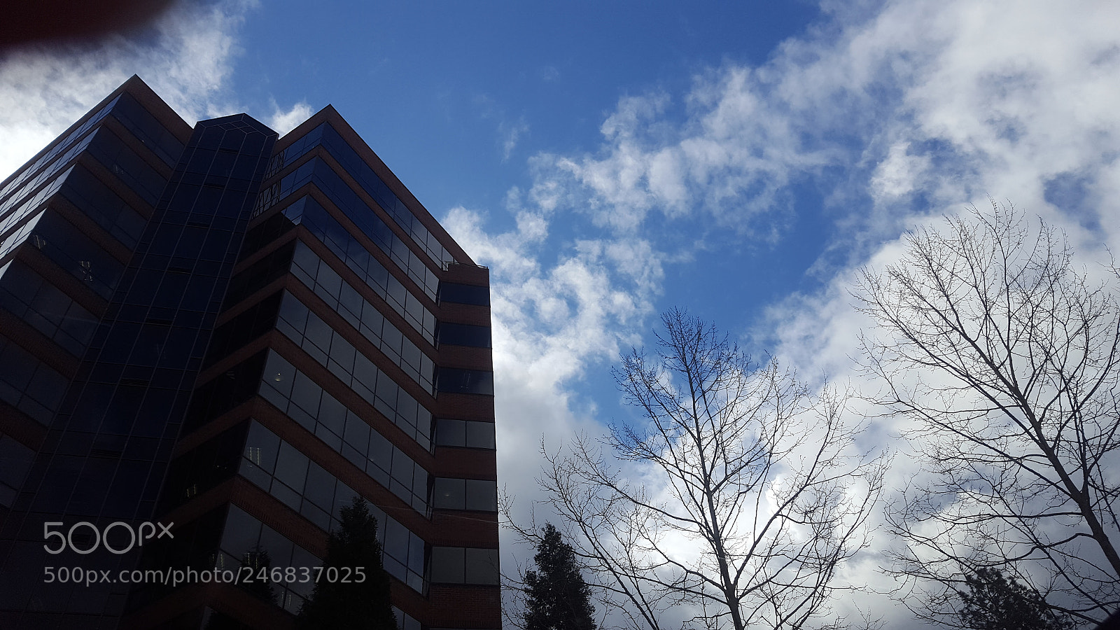Samsung Galaxy S6 sample photo. 20170414_101653.jpg photography