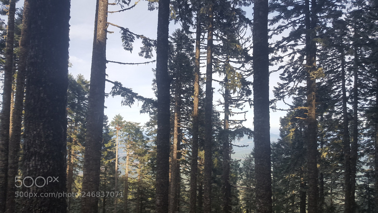 Samsung Galaxy S6 sample photo. 20180210_144839.jpg photography
