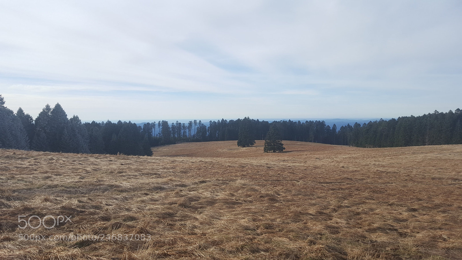 Samsung Galaxy S6 sample photo. 20180210_145457.jpg photography