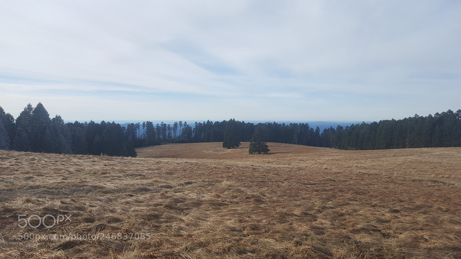Samsung Galaxy S6 sample photo. 20180210_145503.jpg photography