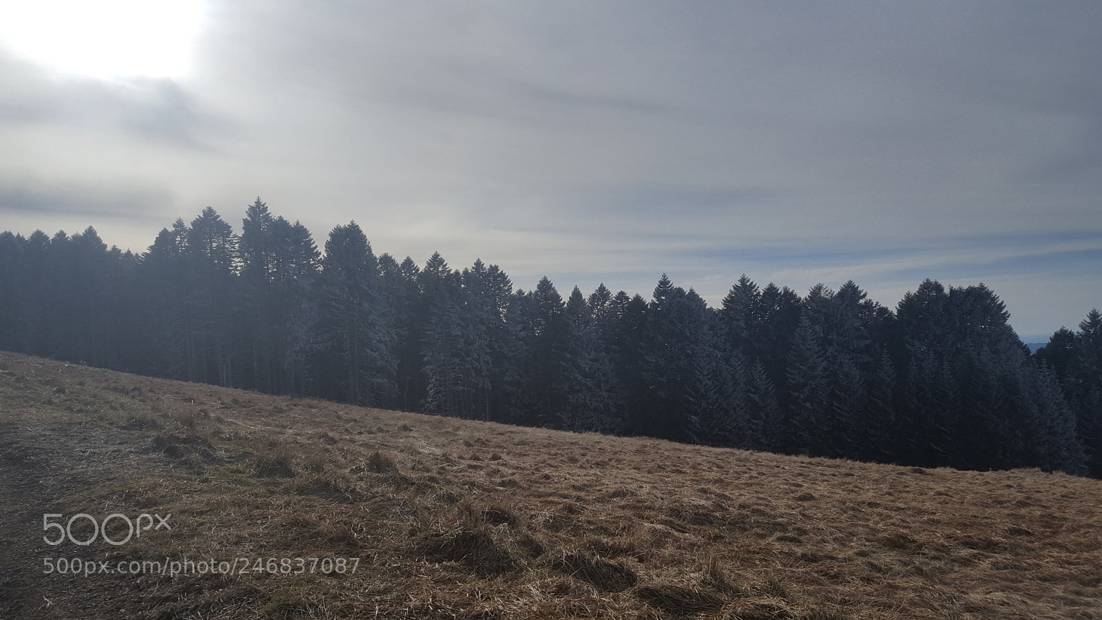 Samsung Galaxy S6 sample photo. 20180210_145604.jpg photography