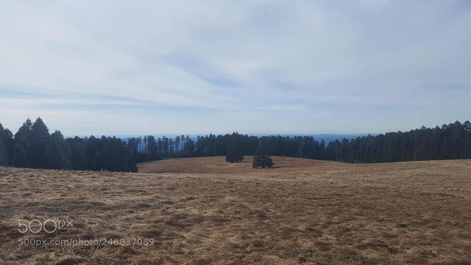 Samsung Galaxy S6 sample photo. 20180210_145506.jpg photography