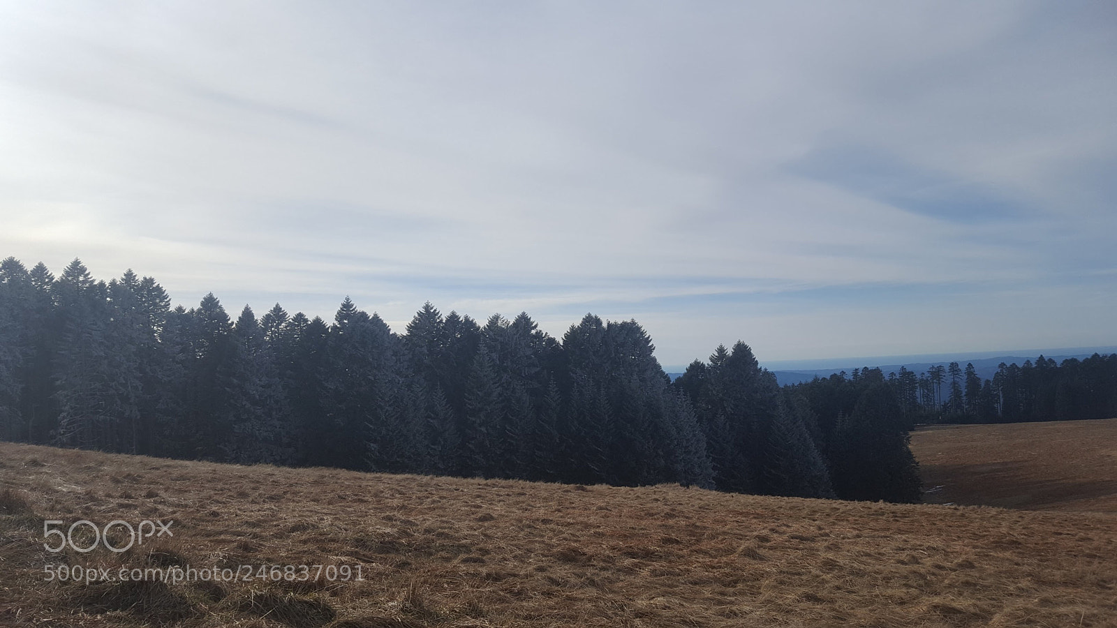 Samsung Galaxy S6 sample photo. 20180210_145607.jpg photography