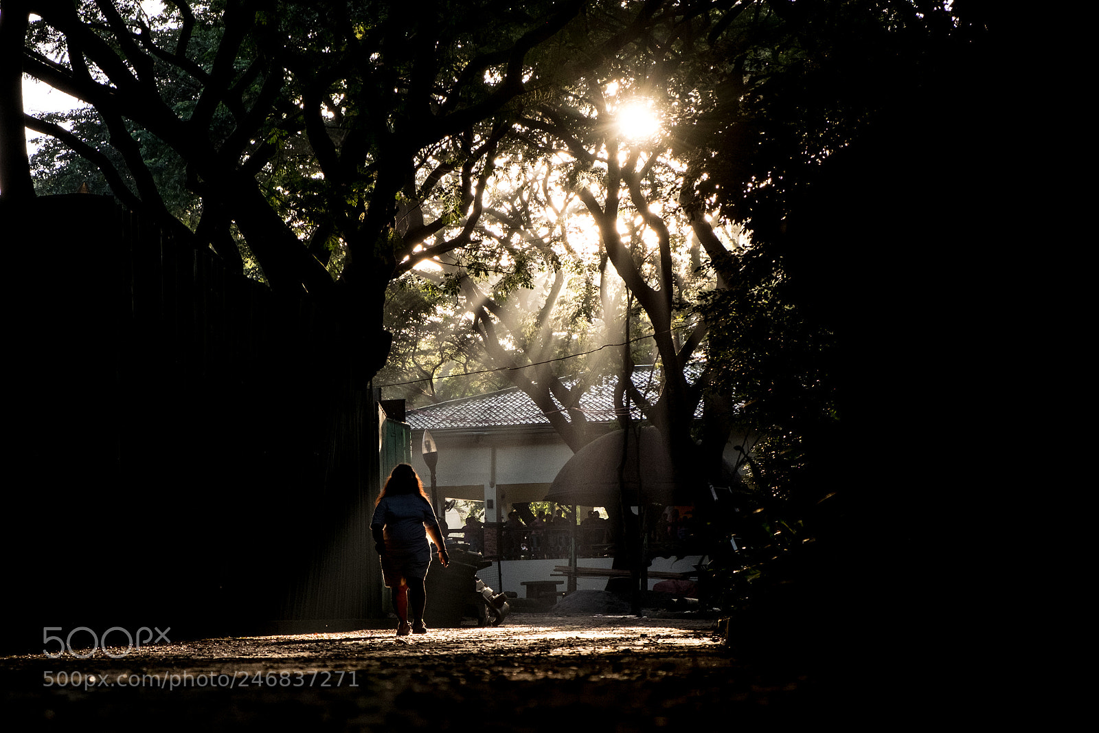 Fujifilm X-T10 sample photo. Untitled photography