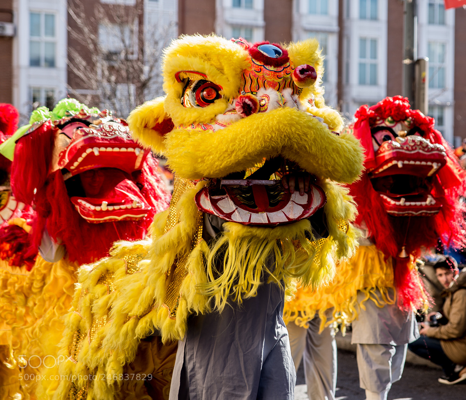 Nikon D610 sample photo. 3 dragons photography