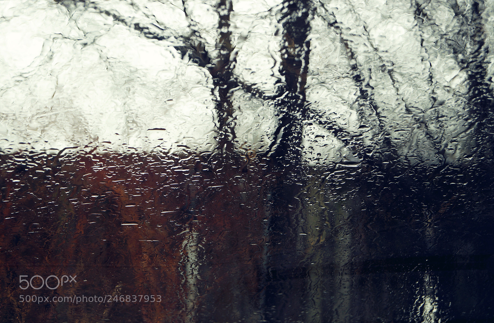 Sony SLT-A57 sample photo. Rain painting photography
