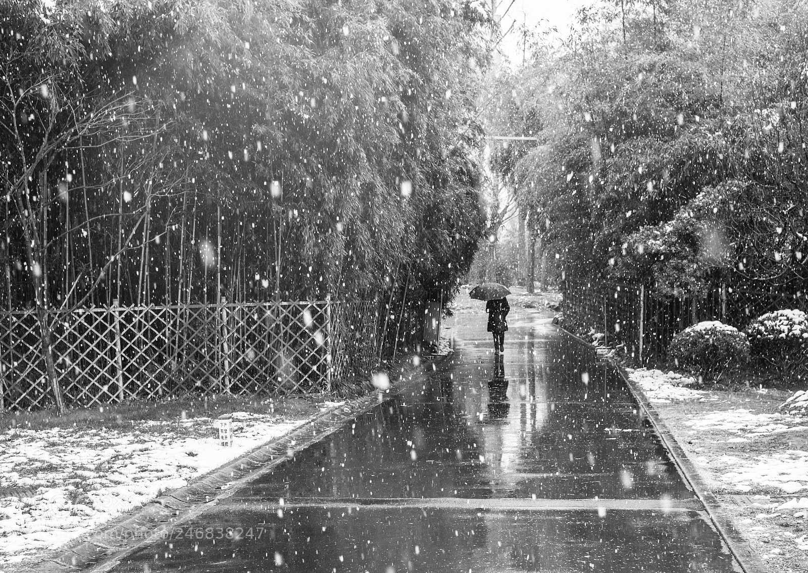 Fujifilm X-T1 sample photo. 雪 photography