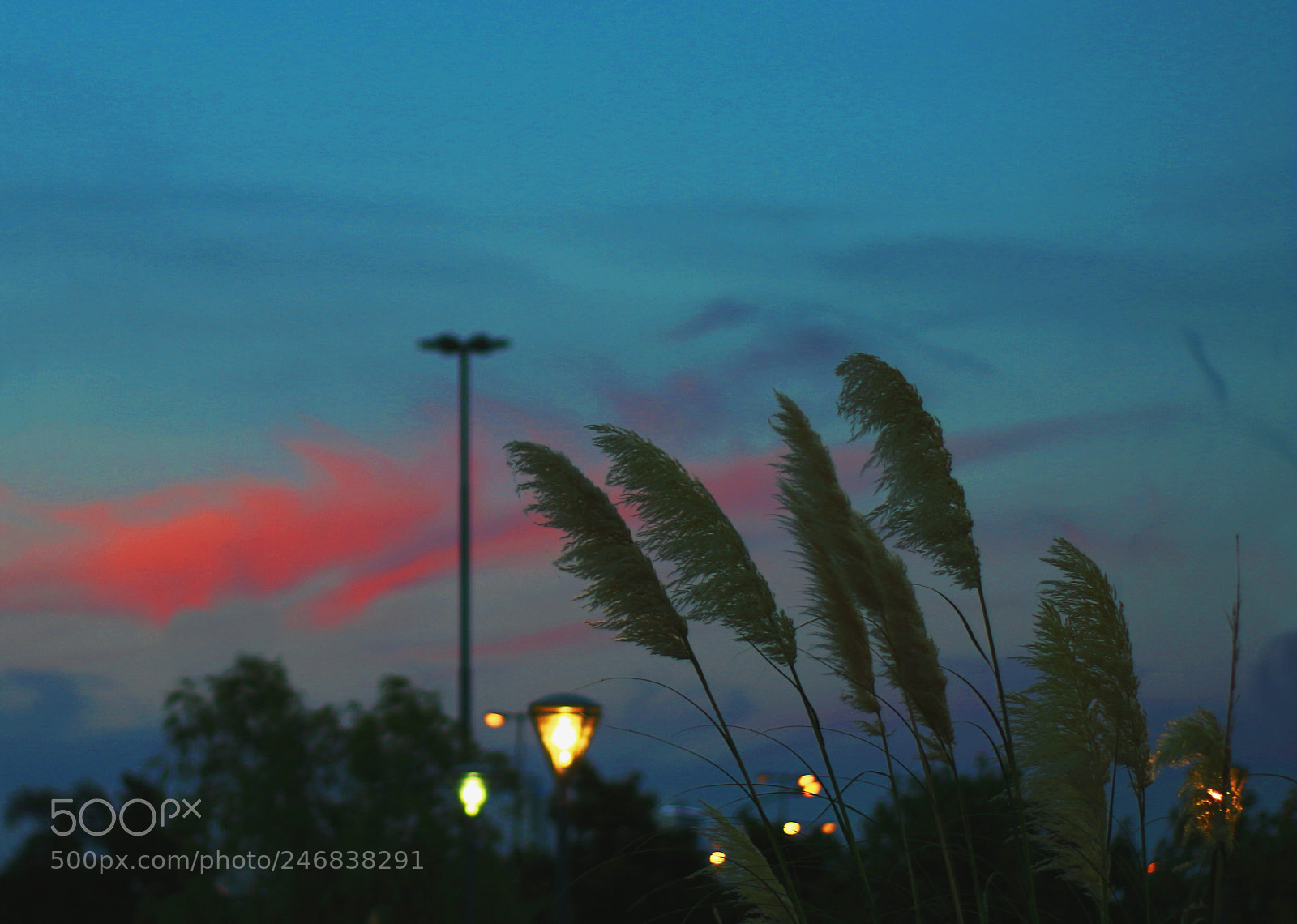 Canon EOS 700D (EOS Rebel T5i / EOS Kiss X7i) sample photo. Radioactiva photography