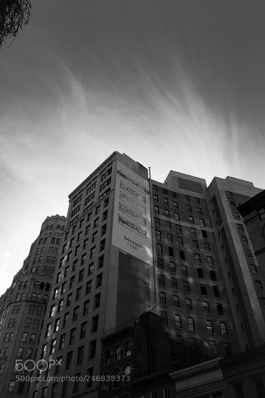 Fujifilm X-T20 sample photo. Untitled photography
