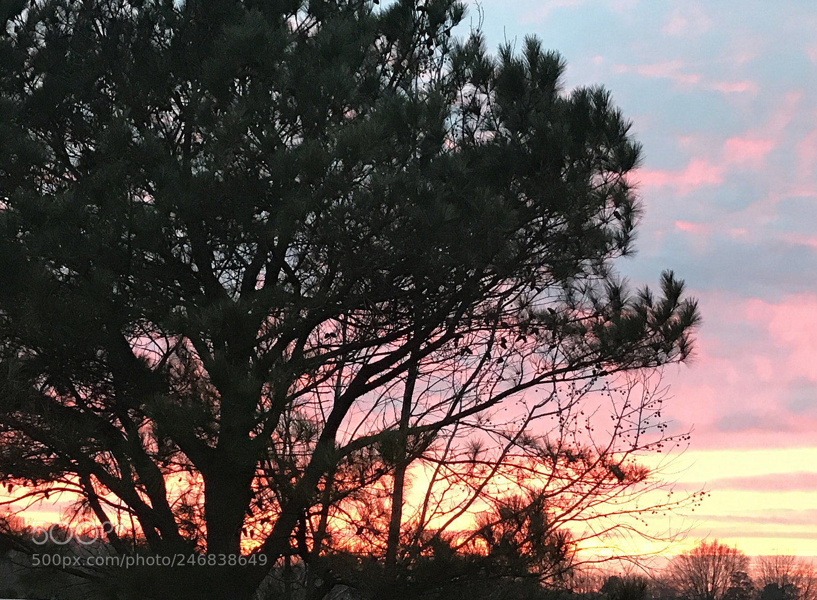 Apple iPhone 7 Plus sample photo. Country sunset photography