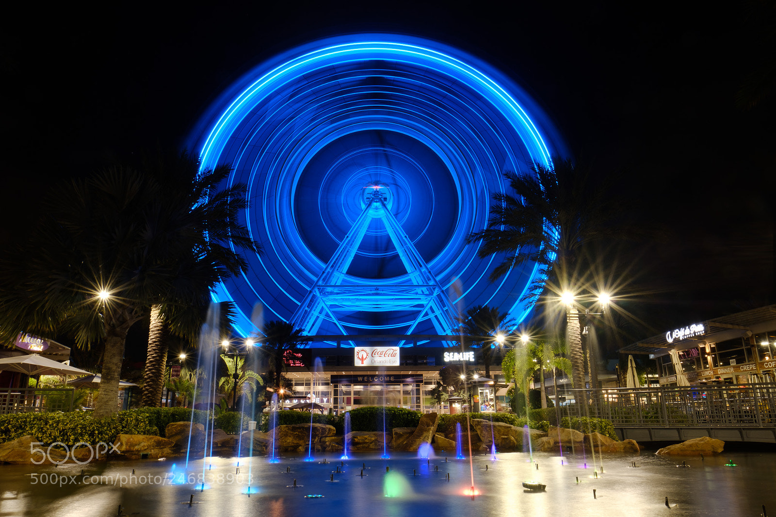 Fujifilm X-T2 sample photo. Orlando eye photography