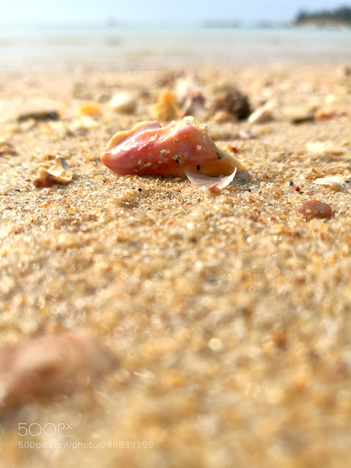 HUAWEI P9 Plus sample photo. Doze on beach photography