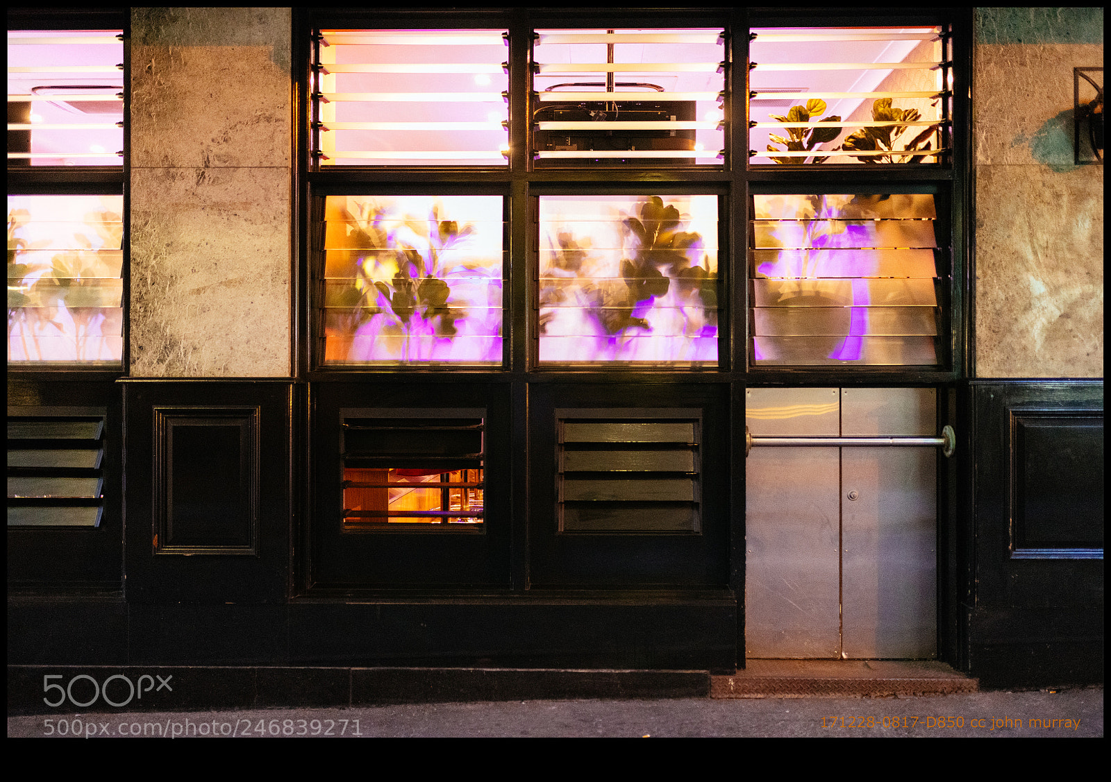 Nikon D850 sample photo. 171228-0817-d850.nef photography