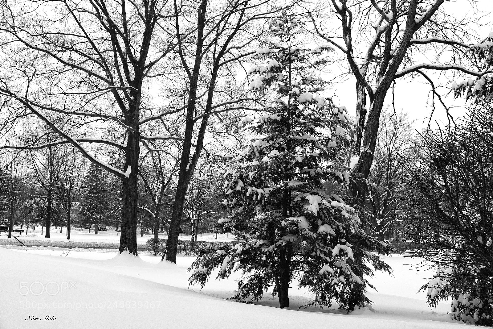 Canon EOS 650D (EOS Rebel T4i / EOS Kiss X6i) sample photo. Snow days at michigan photography