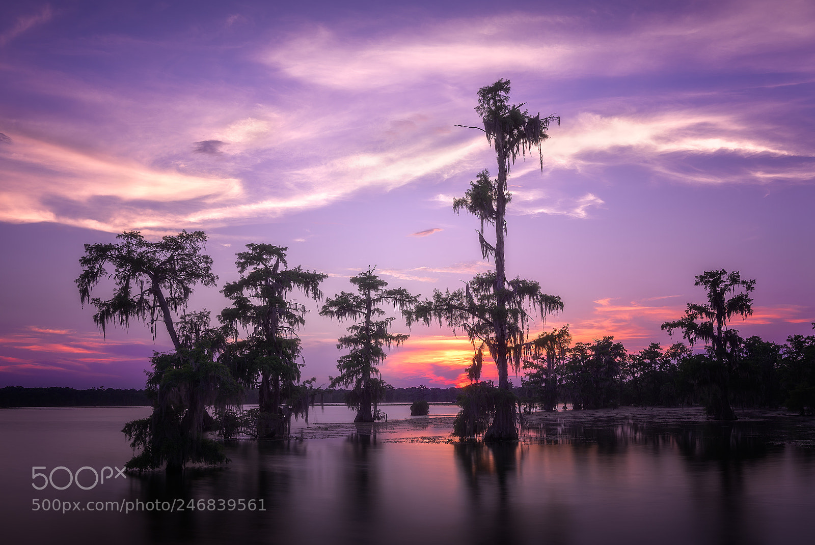 Nikon D810 sample photo. Lake martin sunset photography