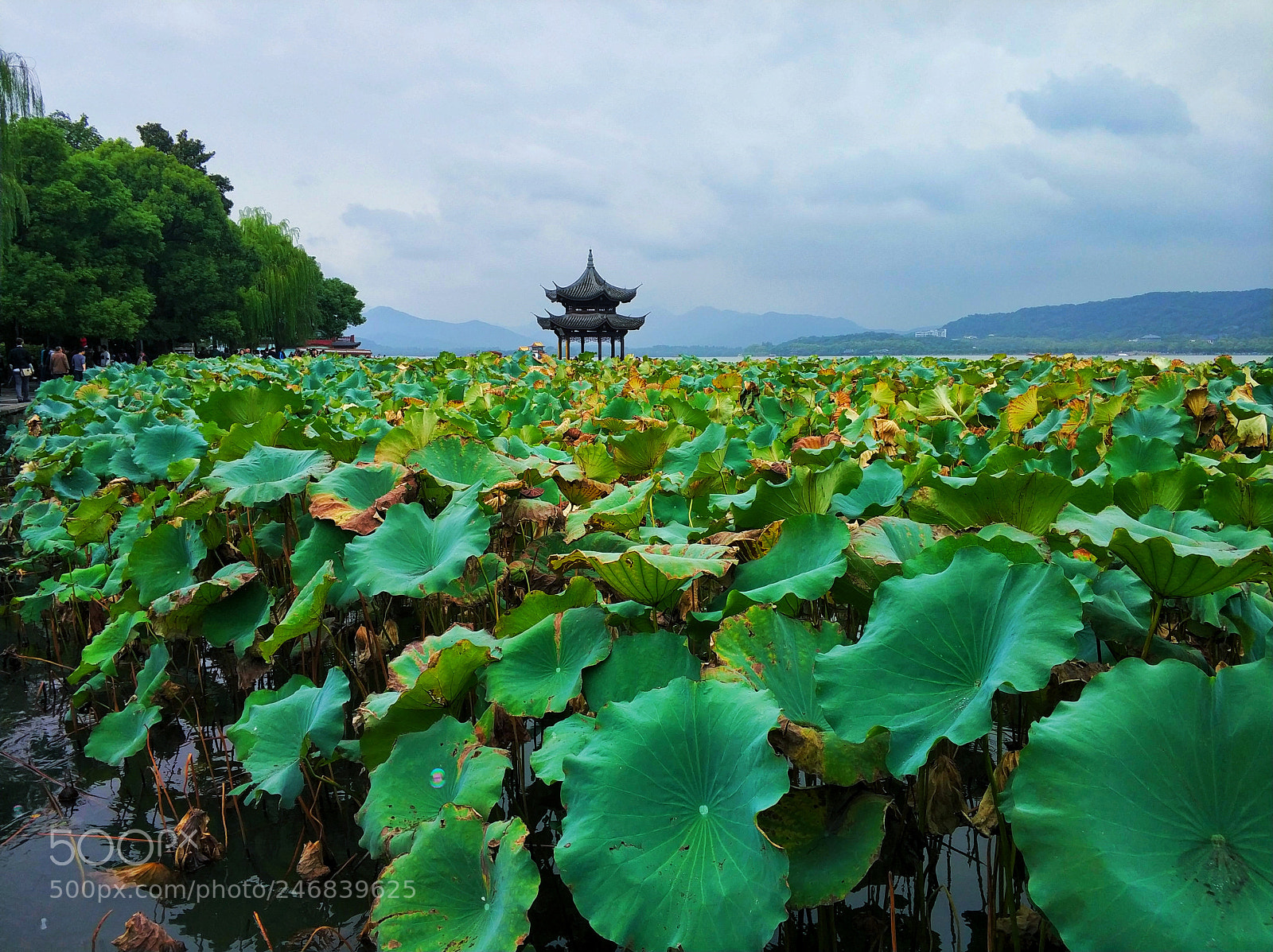 Xiaomi MI6 sample photo. 西湖 photography