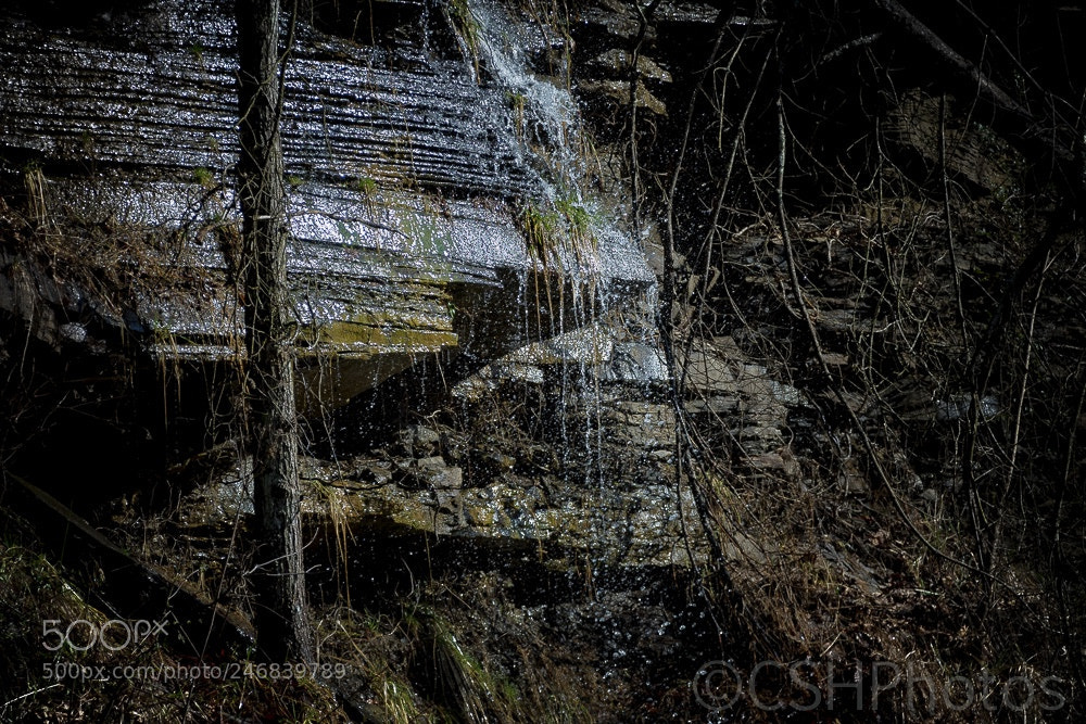 Nikon D500 sample photo. Out for a drive photography