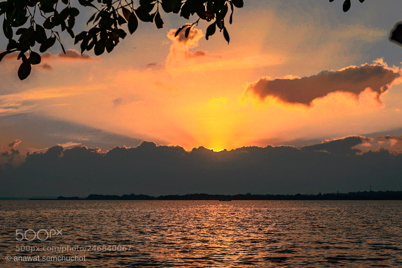 Nikon D800 sample photo. Untitled photography