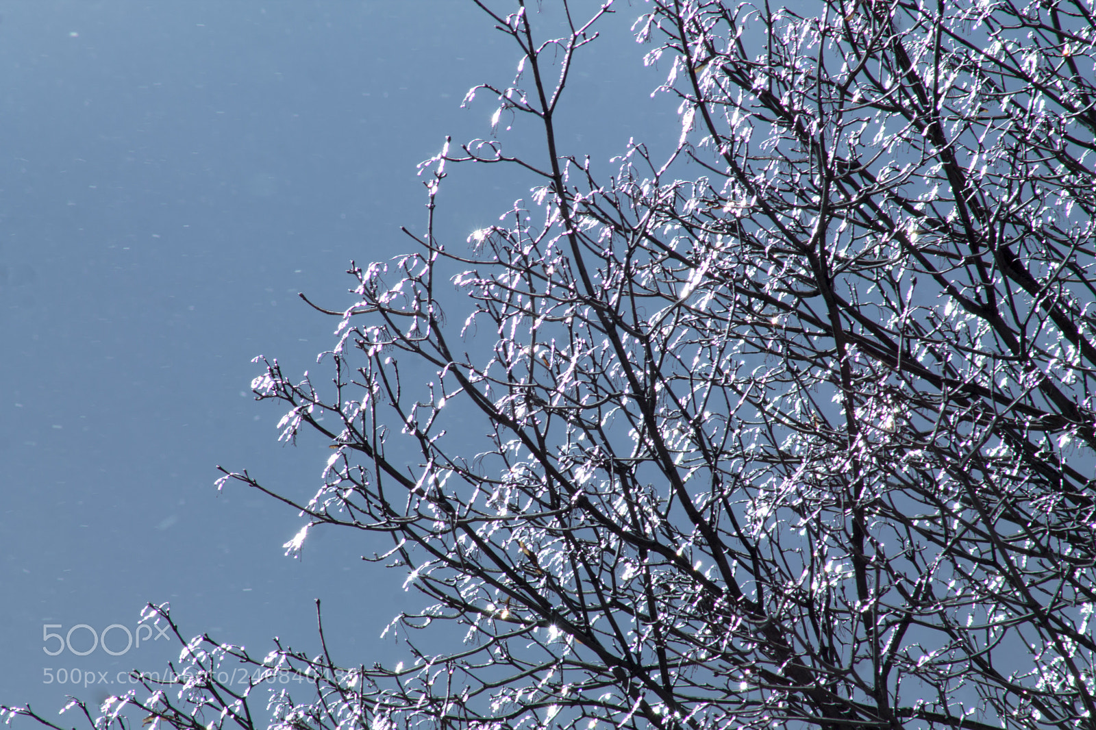 Canon EOS 1100D (EOS Rebel T3 / EOS Kiss X50) sample photo. Sun's diamonds photography
