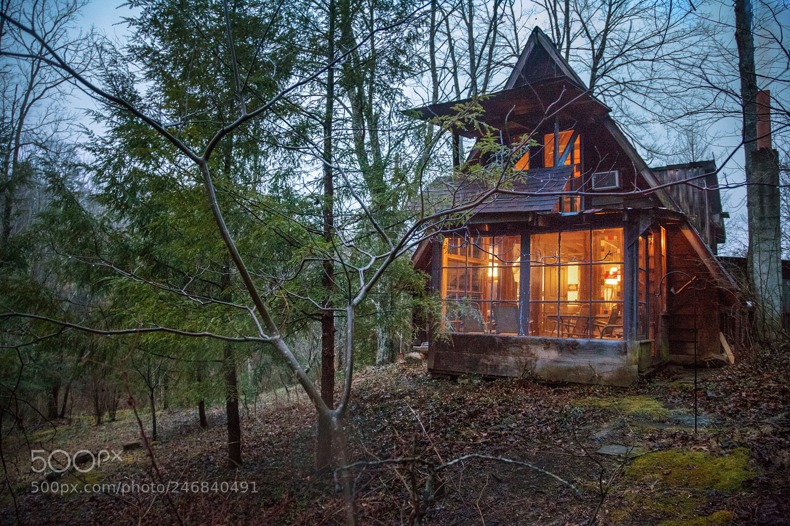 Canon EOS 5D Mark II sample photo. Our cabin in the photography