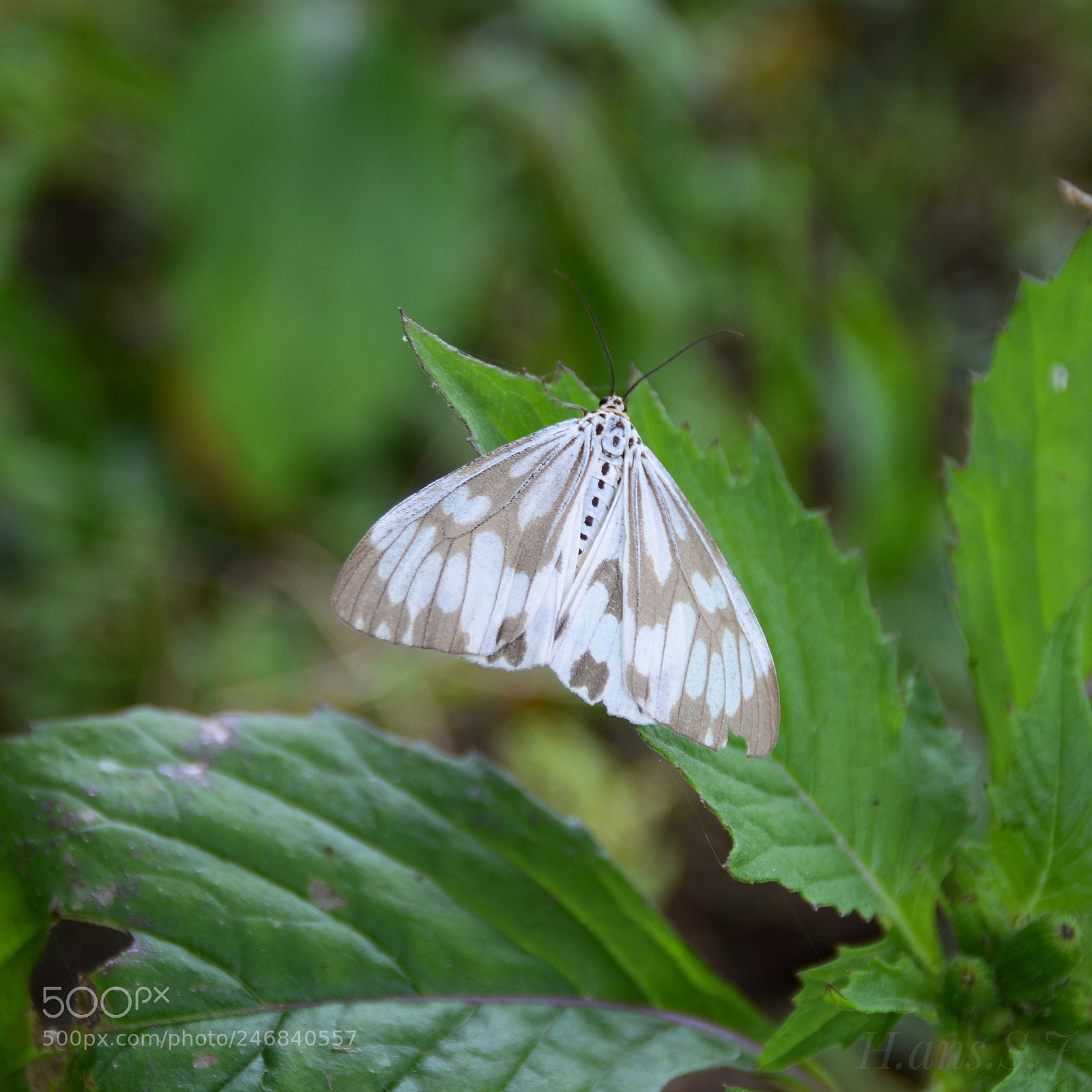 Nikon D7100 sample photo. Untitled photography