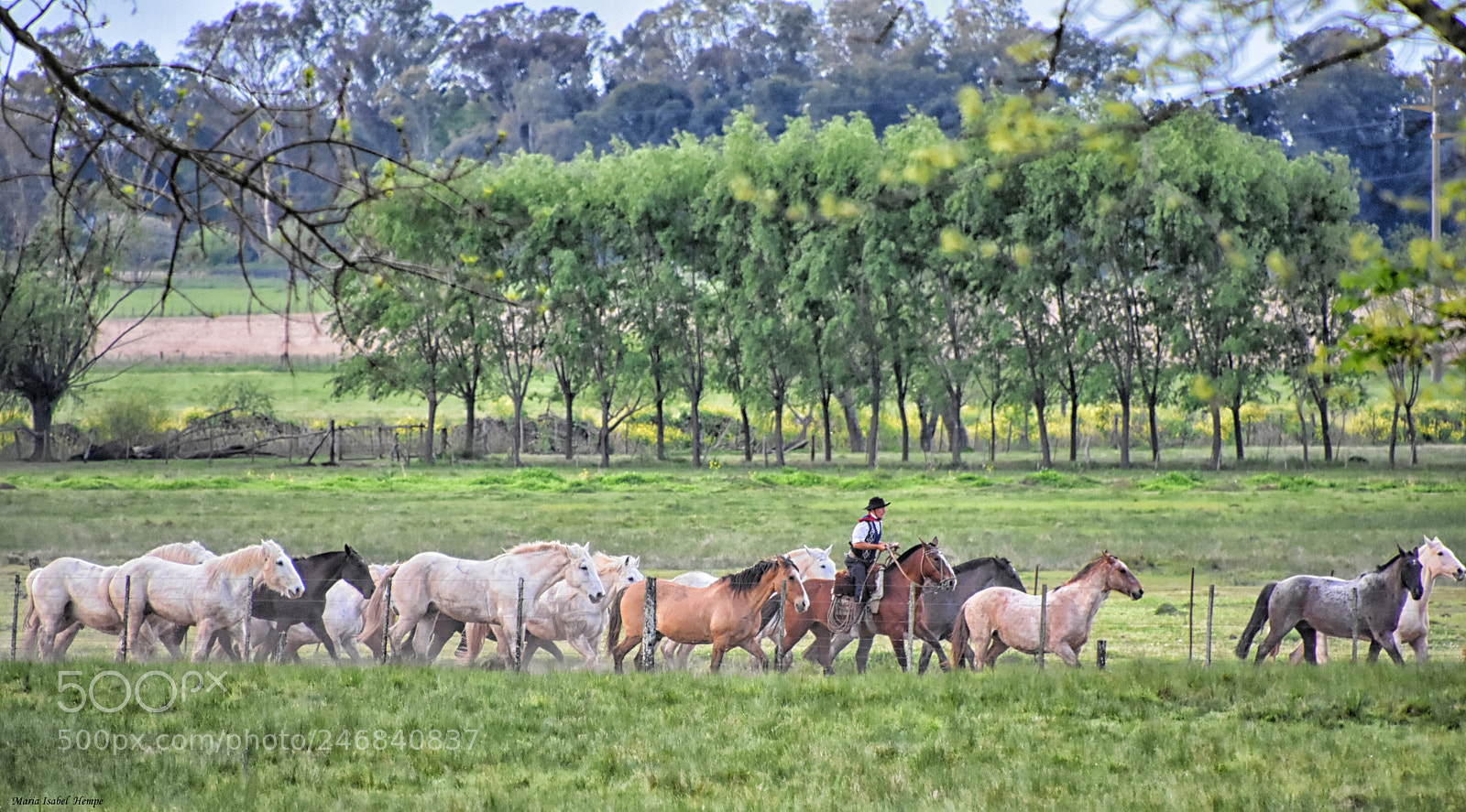 Nikon D7200 sample photo. Camino a los corrales photography