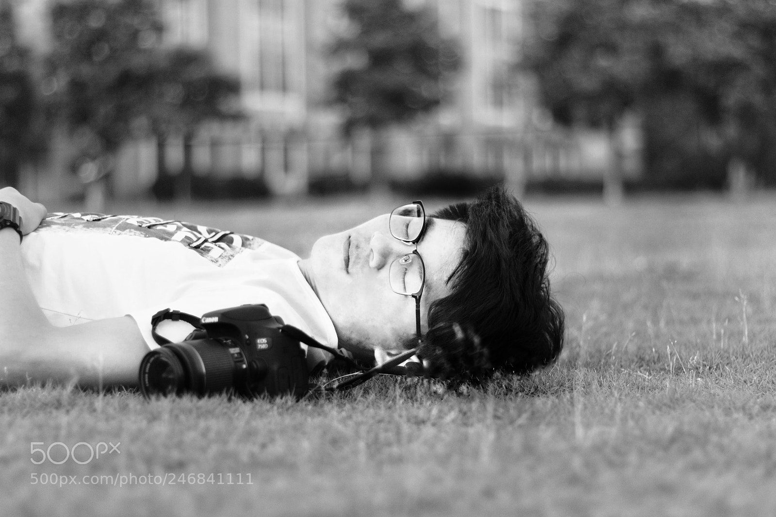 Canon EOS 750D (EOS Rebel T6i / EOS Kiss X8i) sample photo. Untitled photography