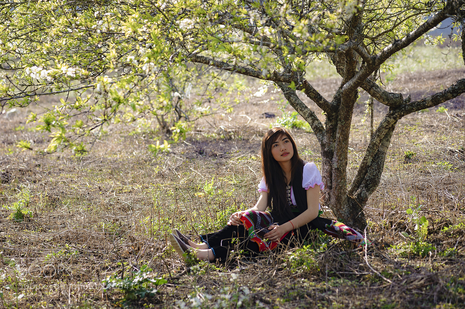 Nikon D3 sample photo. Plum flower.jpg photography